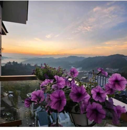 Kensington Sunrise Sg, Palas Horizon,Kea Farm Brinchang Eksteriør bilde